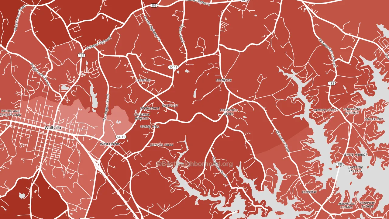 29696, SC block-group political-lean map