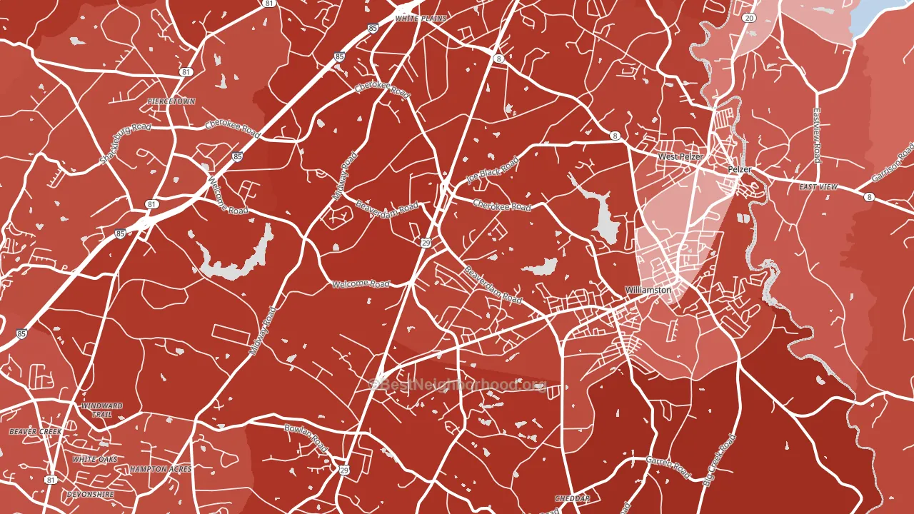 29697, SC block-group political-lean map