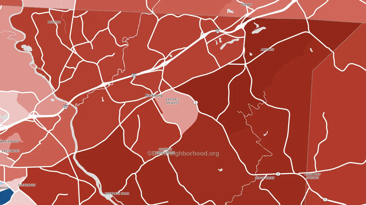 29702, SC block-group political-lean map