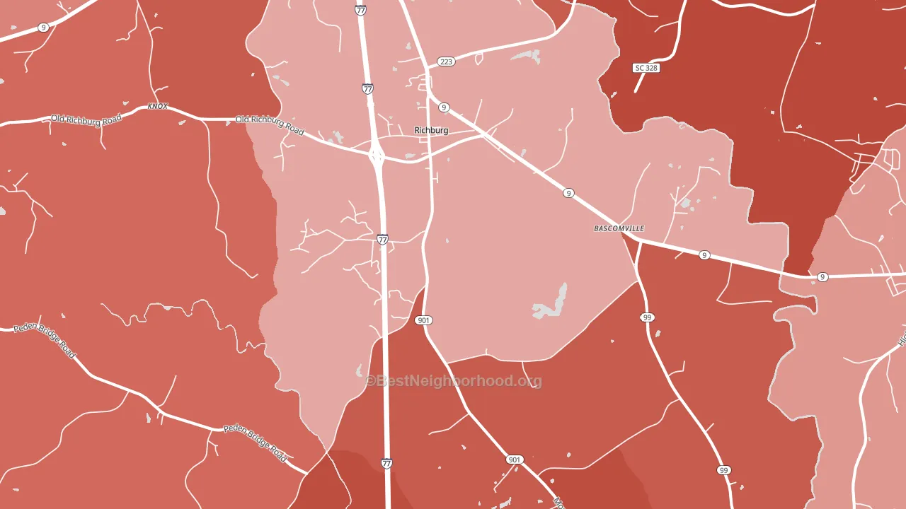 29729, SC block-group political-lean map