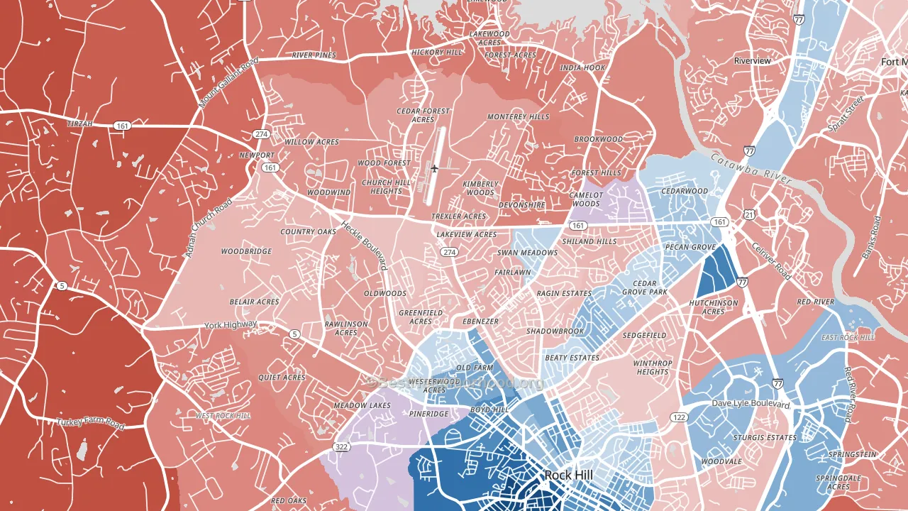 29732, SC block-group political-lean map