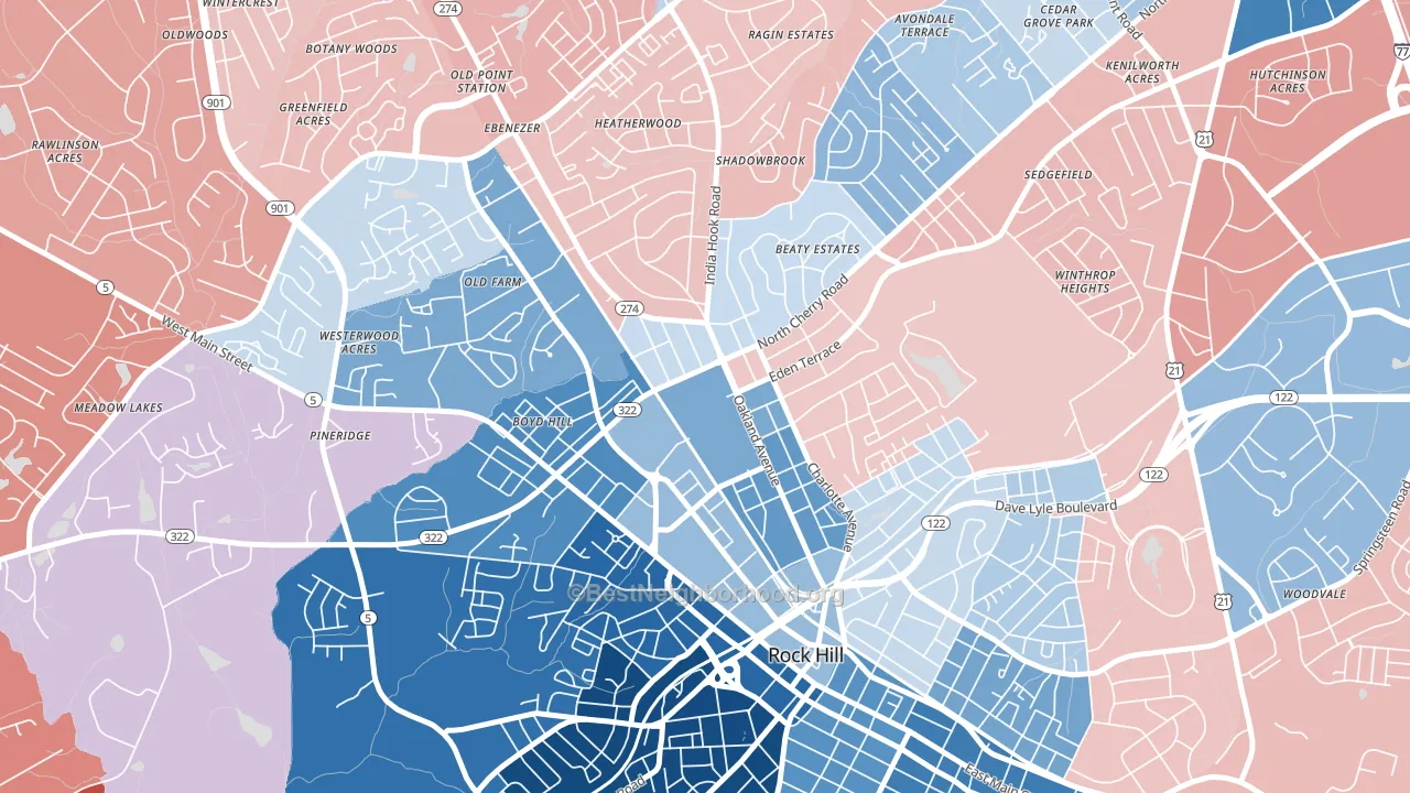 29733, SC block-group political-lean map