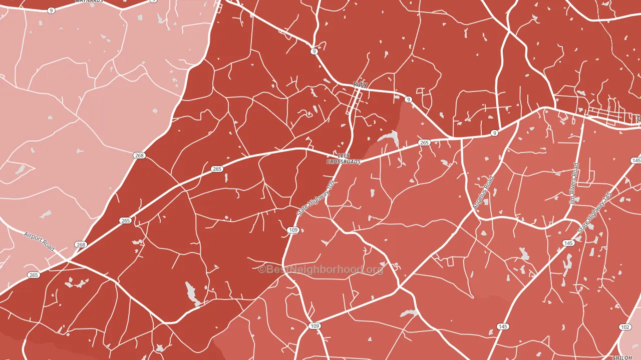 29741, SC block-group political-lean map