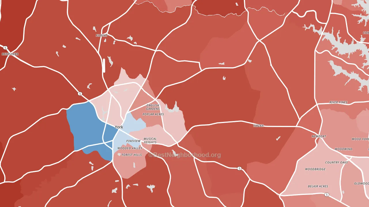 29745, SC block-group political-lean map