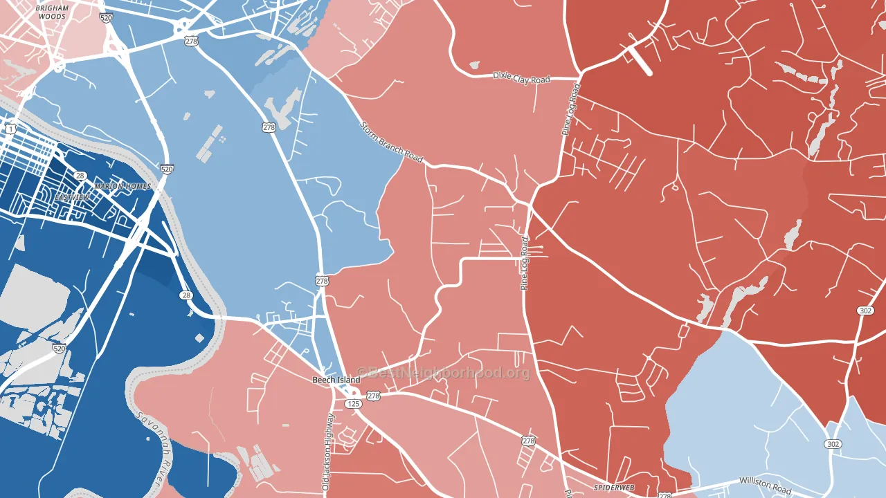 29842, SC block-group political-lean map