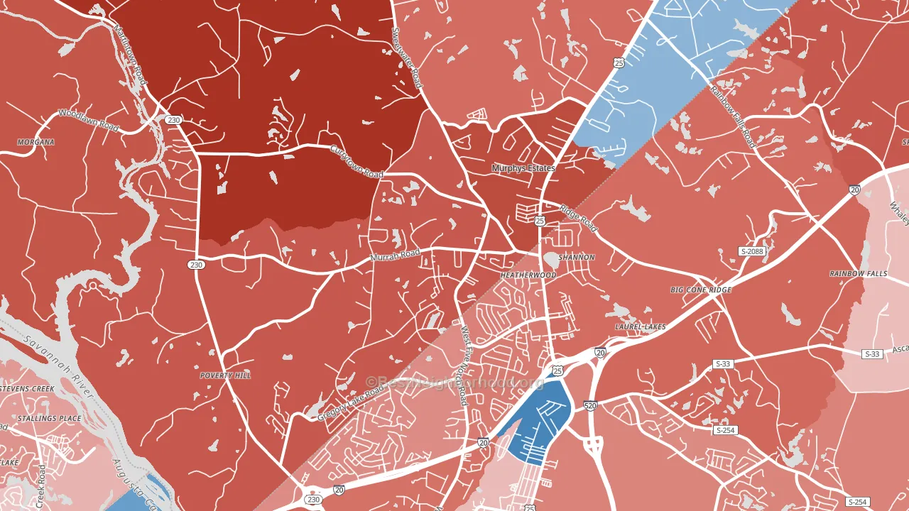 29860, SC block-group political-lean map