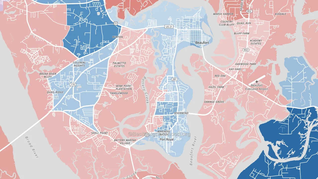 29902, SC block-group political-lean map