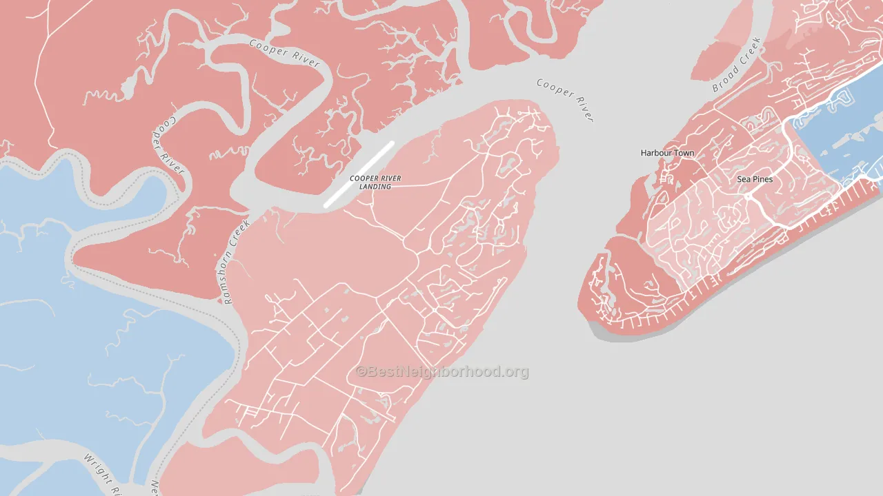 29915, SC block-group political-lean map