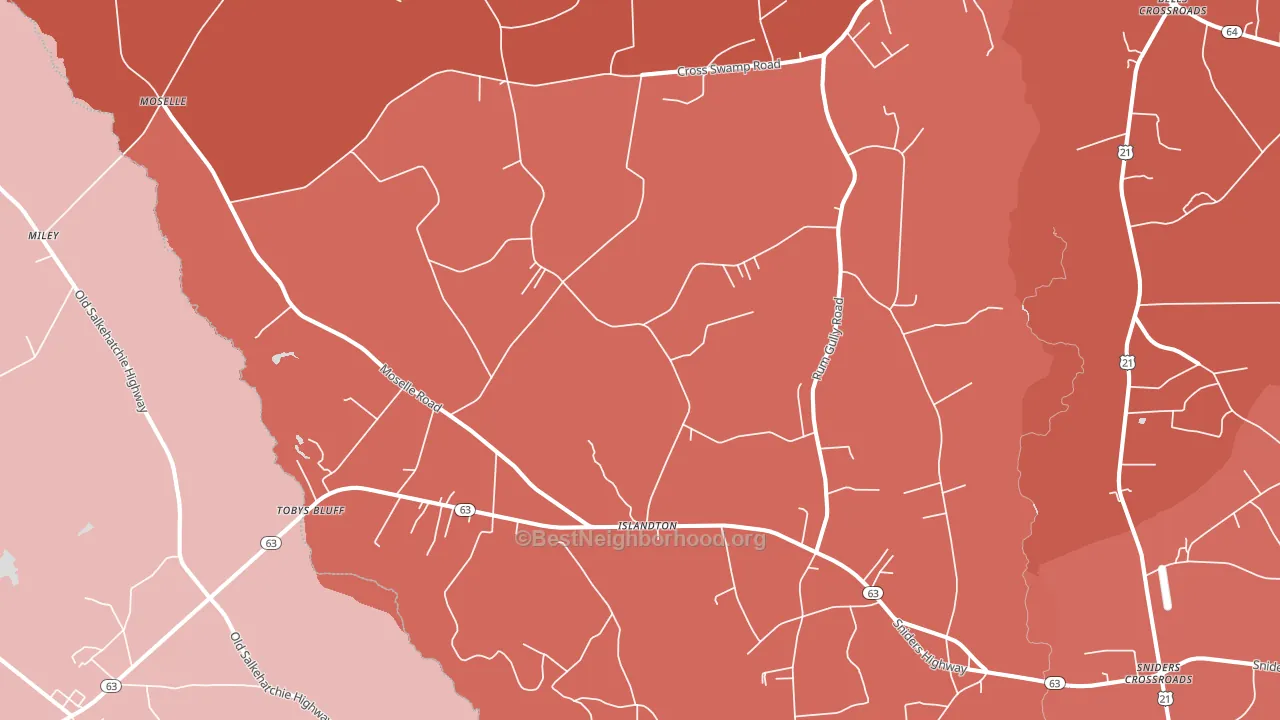 29929, SC block-group political-lean map