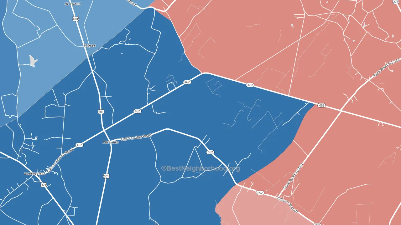 29934, SC block-group political-lean map