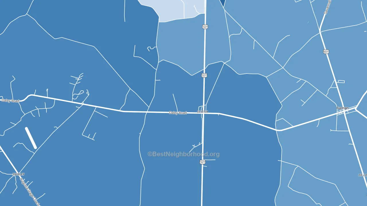 29939, SC block-group political-lean map