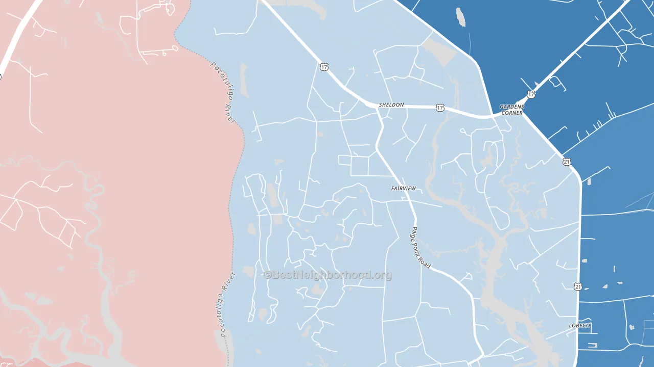 29941, SC block-group political-lean map