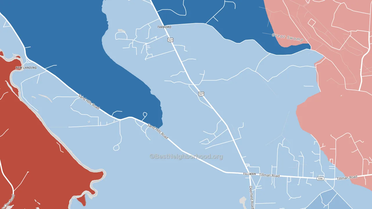 29943, SC block-group political-lean map