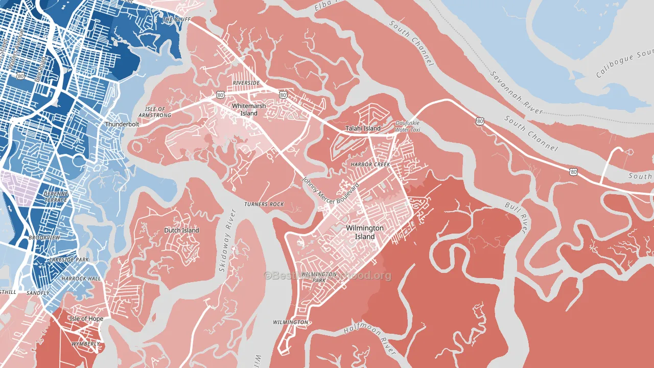 31410, GA block-group political-lean map