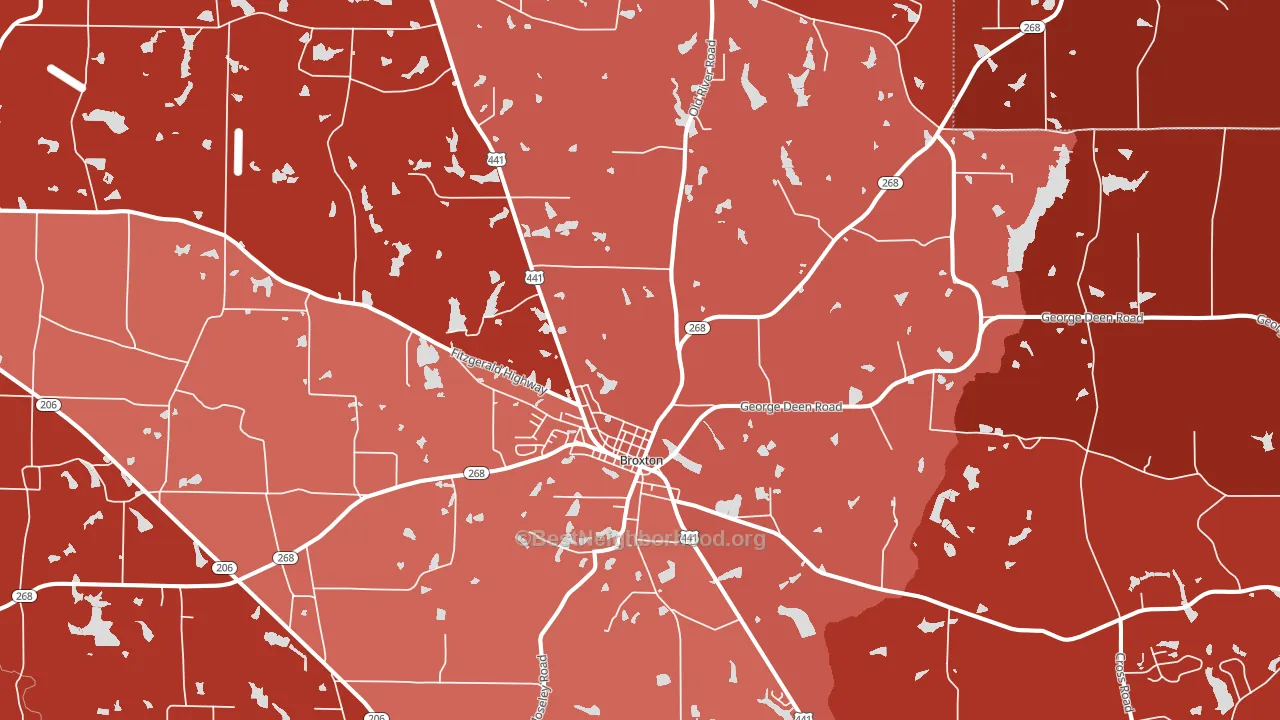 31519, GA block-group political-lean map