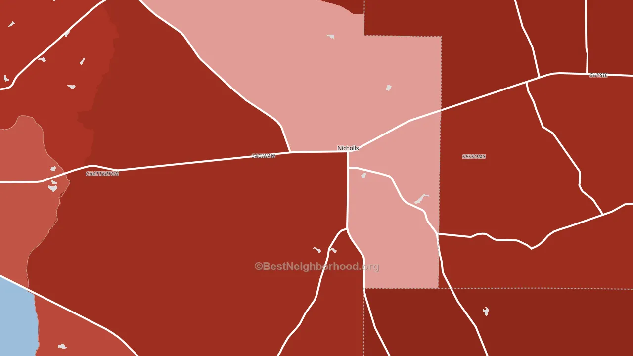 31554, GA block-group political-lean map