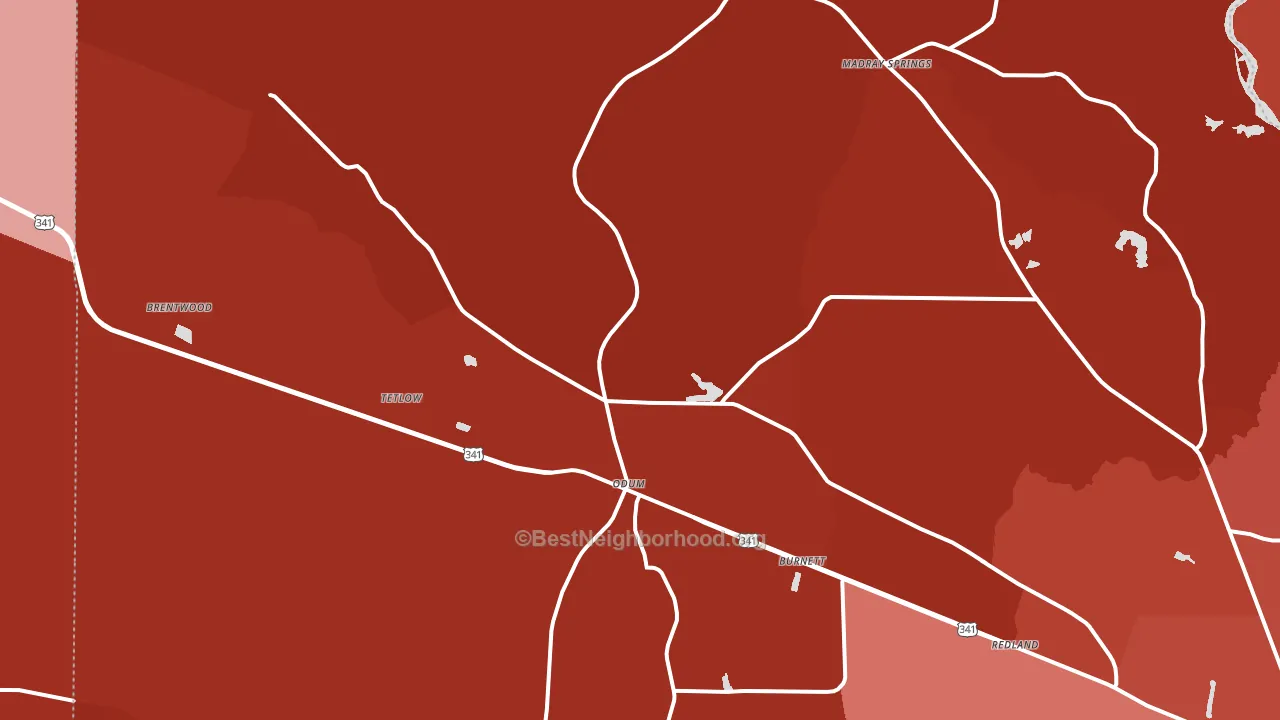 31555, GA block-group political-lean map
