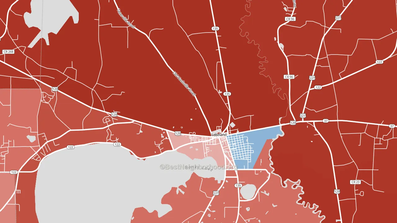 31635, GA block-group political-lean map