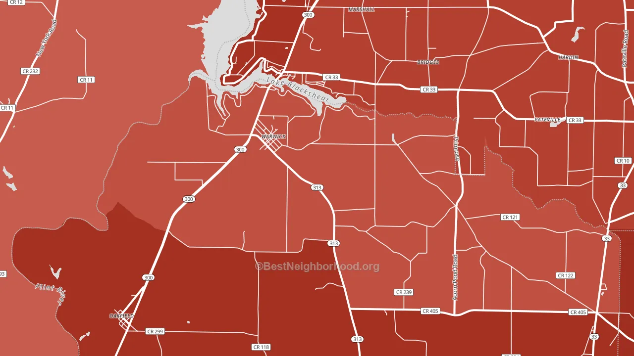 31796, GA block-group political-lean map