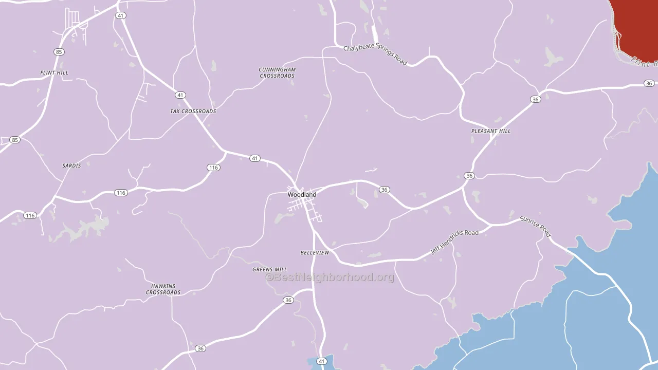 31836, GA block-group political-lean map