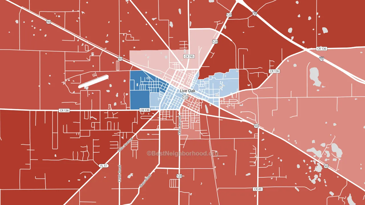 32064, FL block-group political-lean map