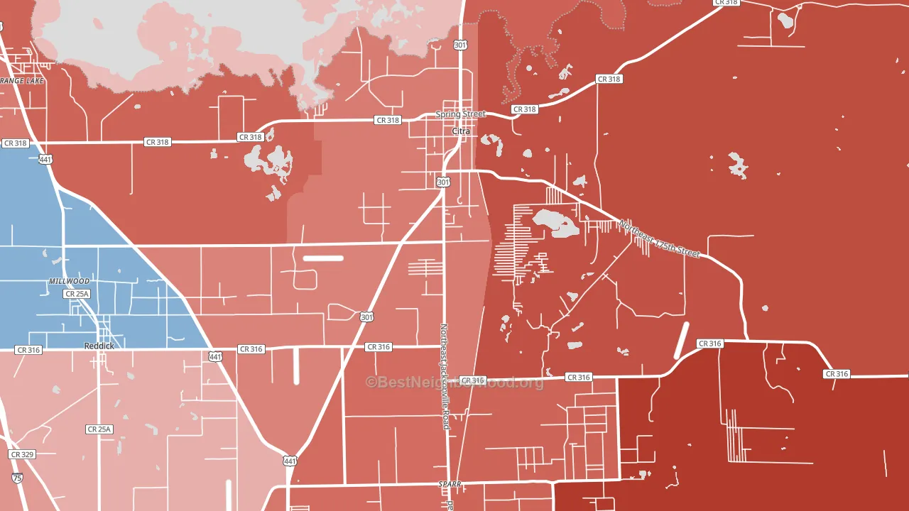 32113, FL block-group political-lean map