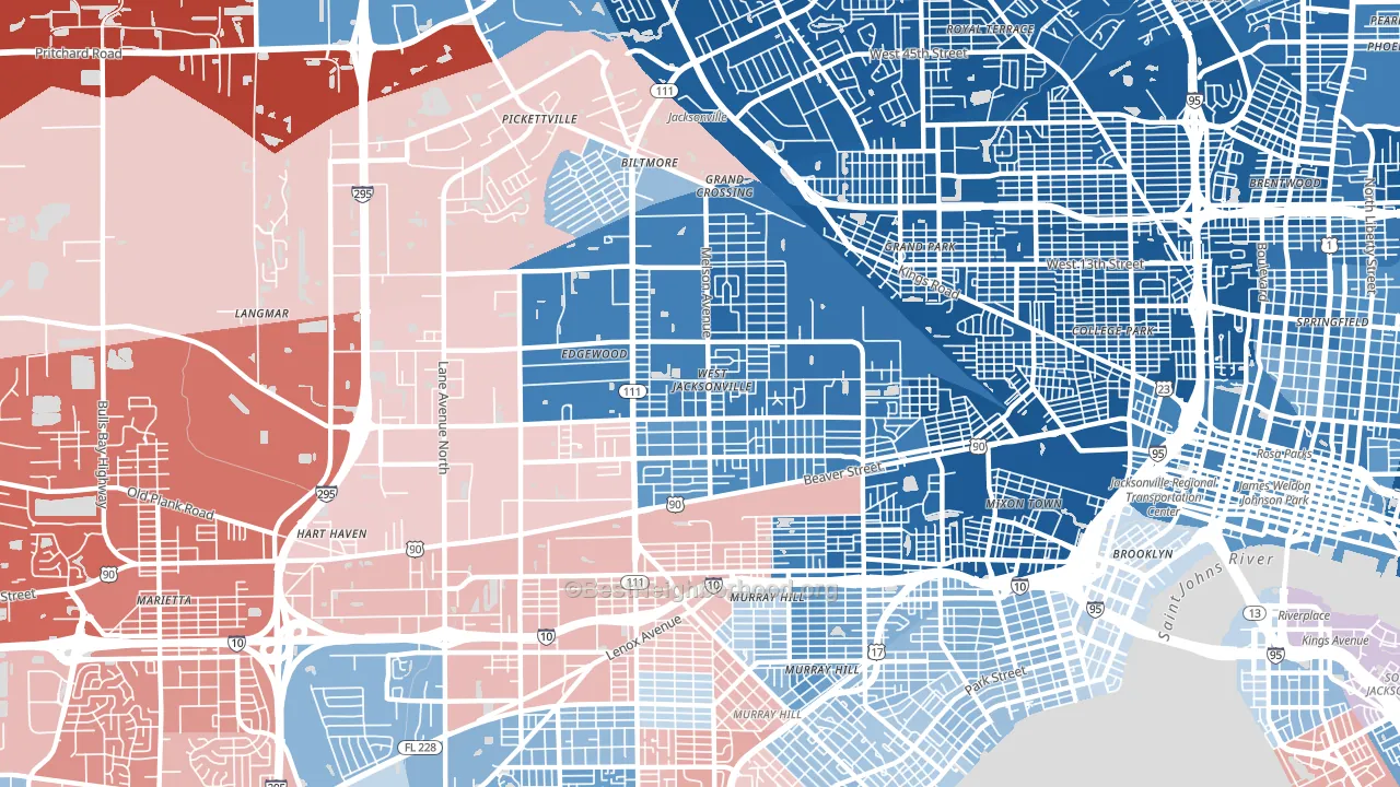 32254, FL block-group political-lean map