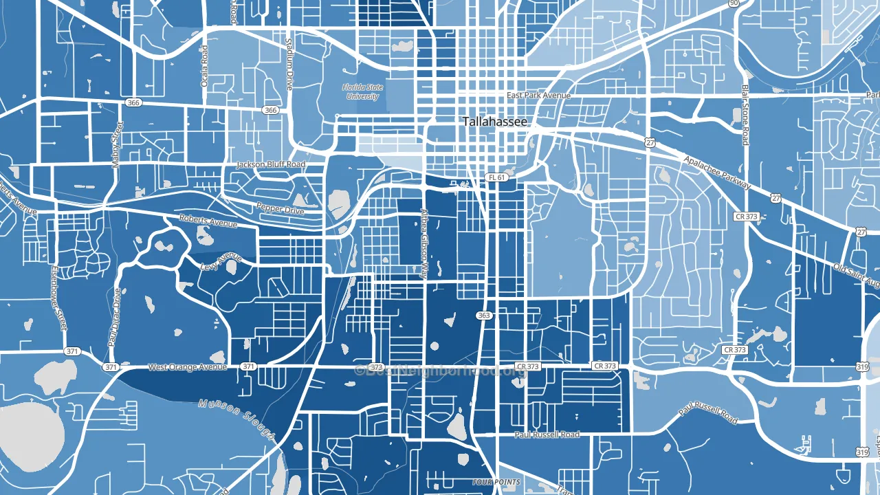 32307, FL block-group political-lean map