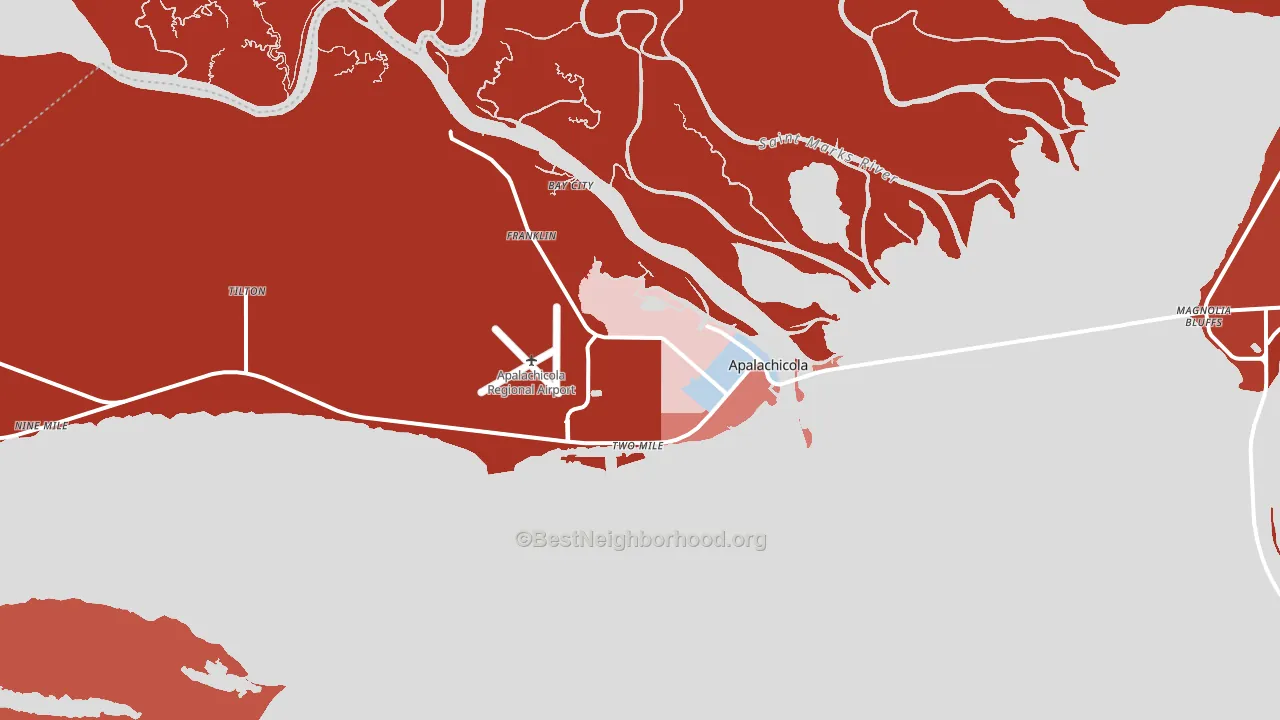 32320, FL block-group political-lean map