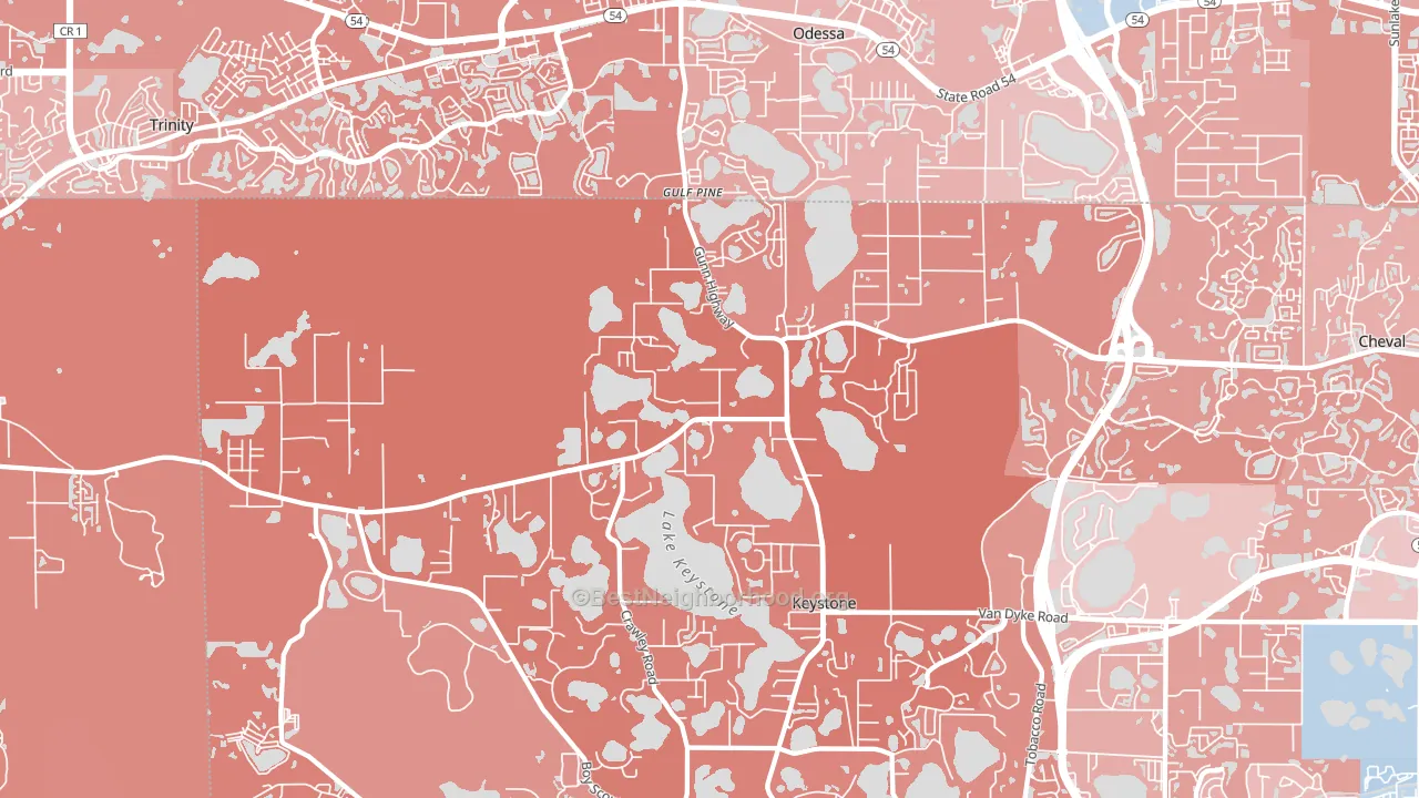 33556, FL block-group political-lean map