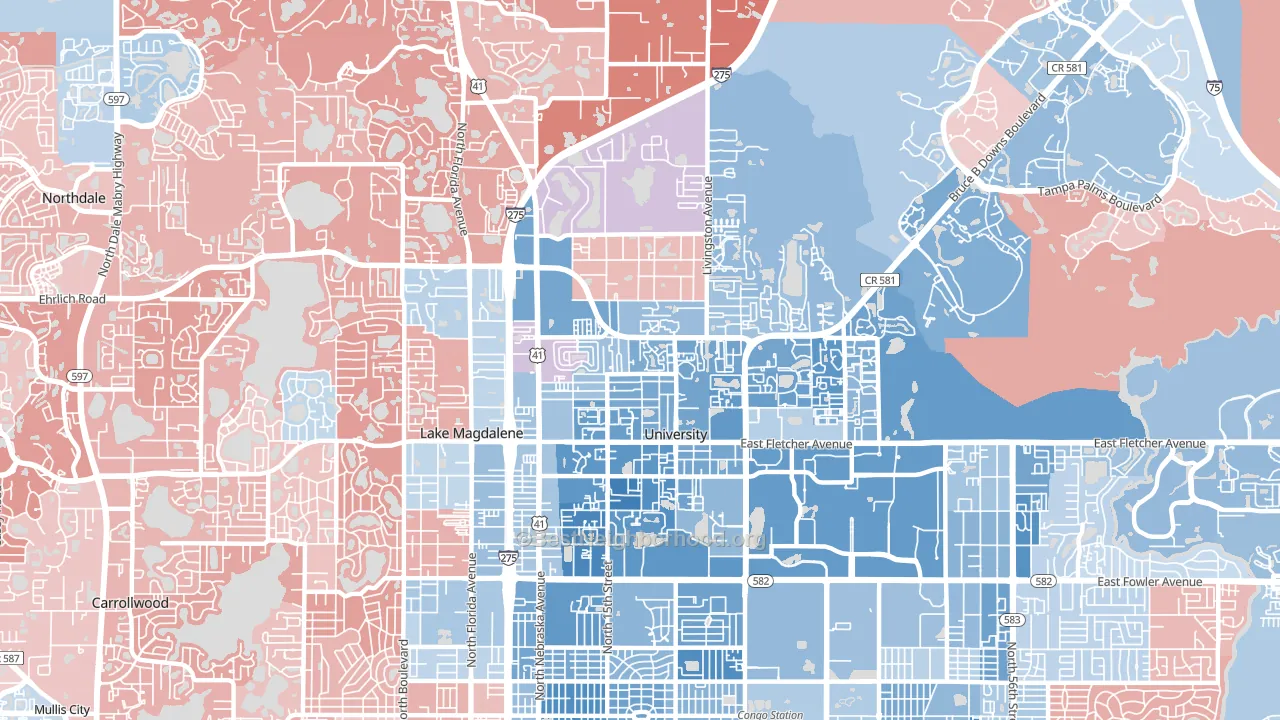 33613, FL block-group political-lean map