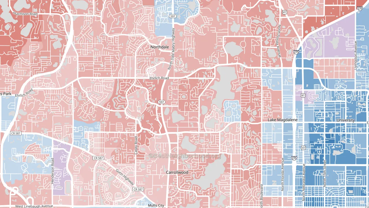 33618, FL block-group political-lean map