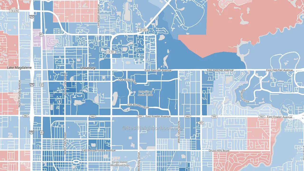 33620, FL block-group political-lean map
