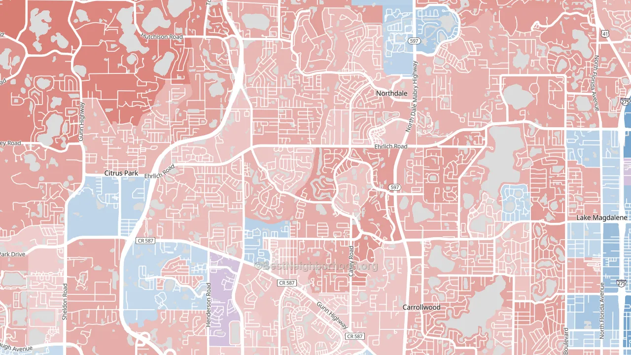 33624, FL block-group political-lean map