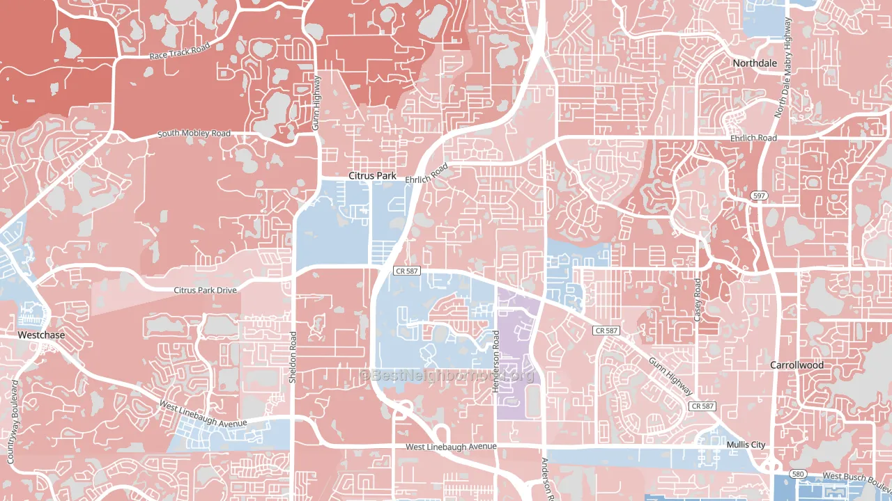 33625, FL block-group political-lean map