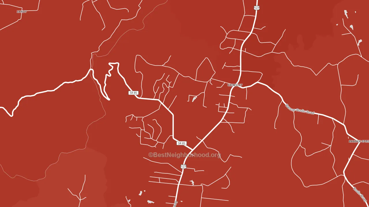 38565, TN block-group political-lean map