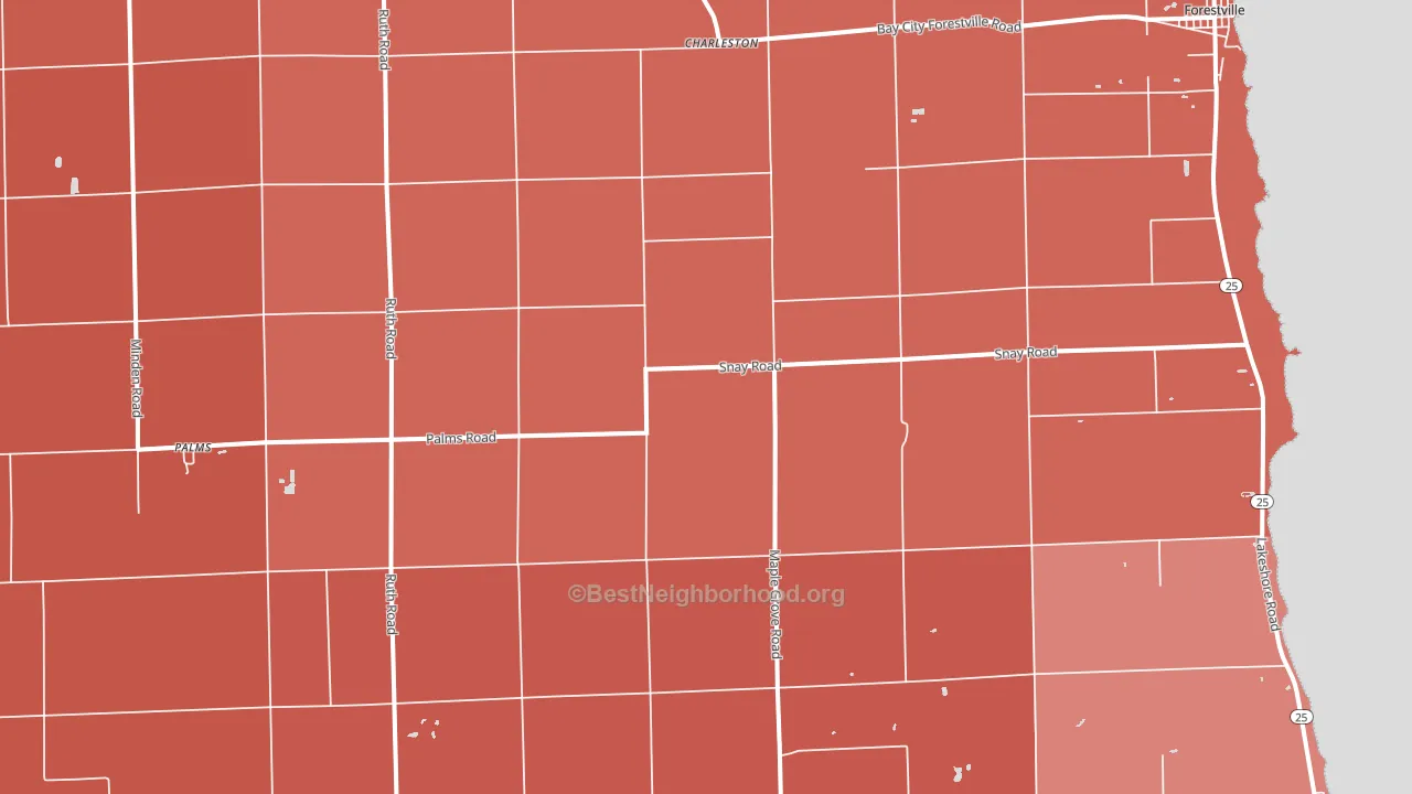 48465, MI block-group political-lean map