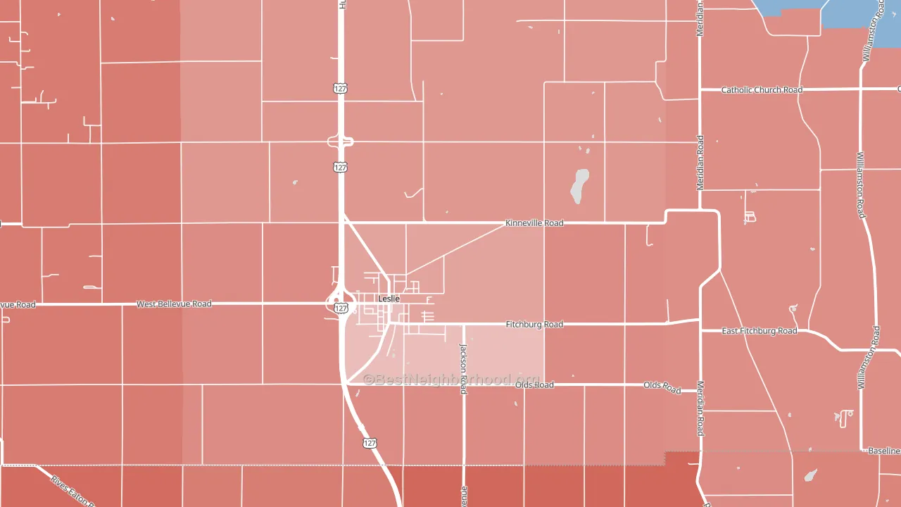 49251, MI block-group political-lean map