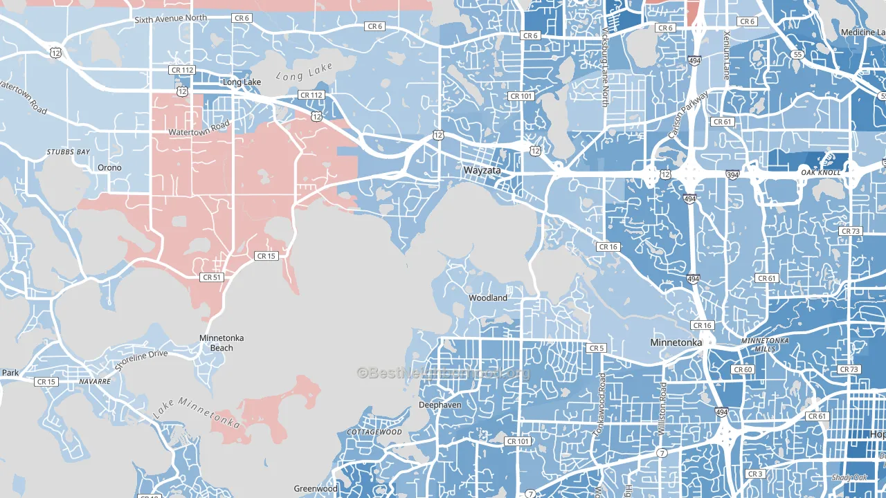 55391, MN block-group political-lean map