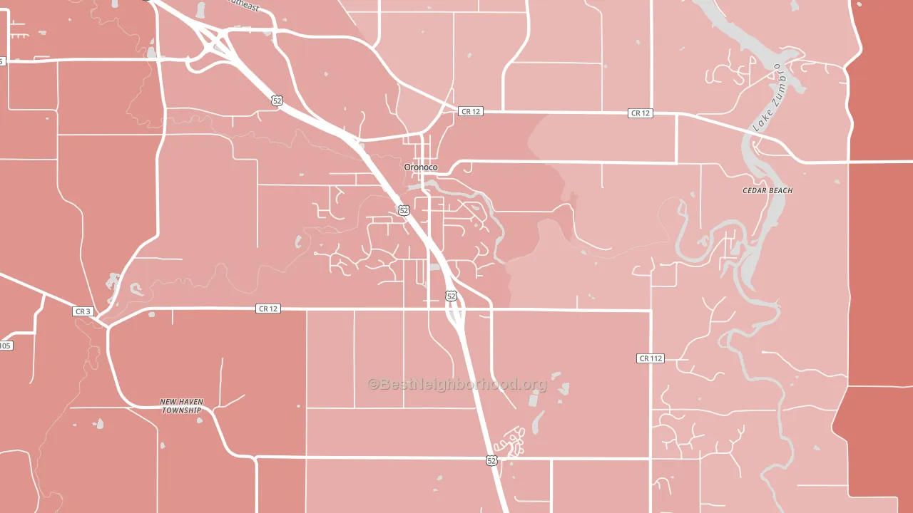 55960, MN block-group political-lean map