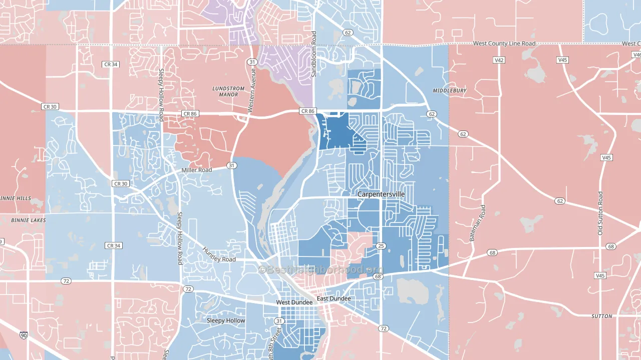 60110, IL block-group political-lean map