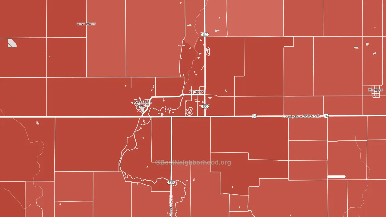 61919, IL block-group political-lean map