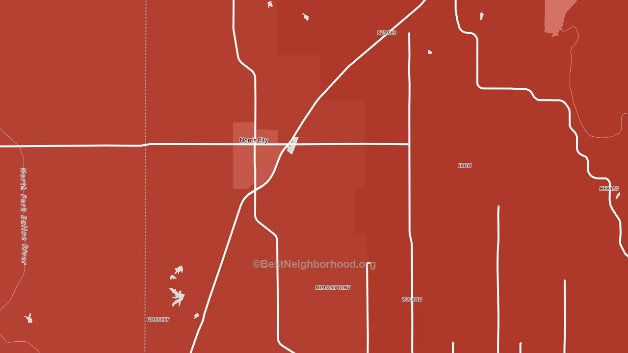 62869, IL block-group political-lean map