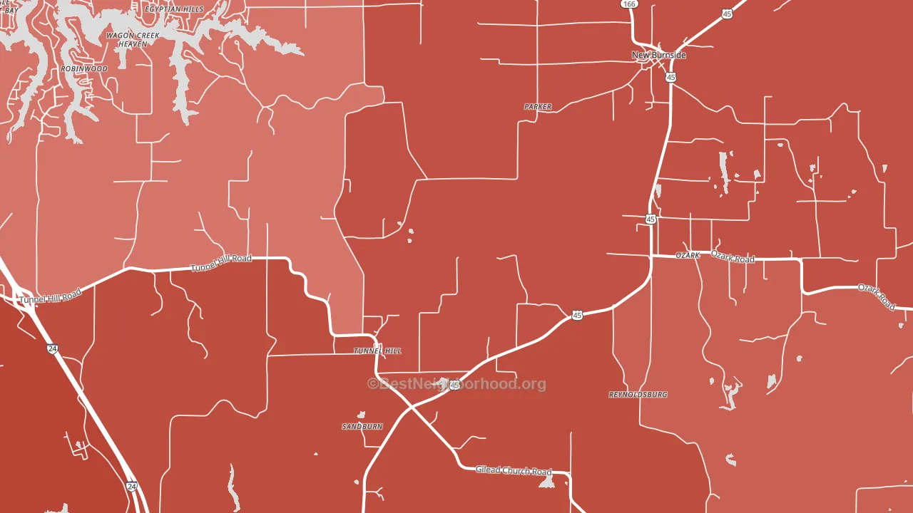 62972, IL block-group political-lean map