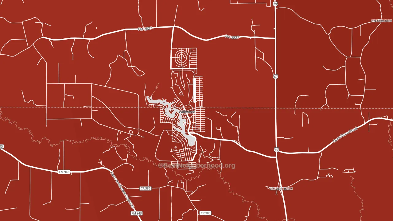 77663, TX block-group political-lean map