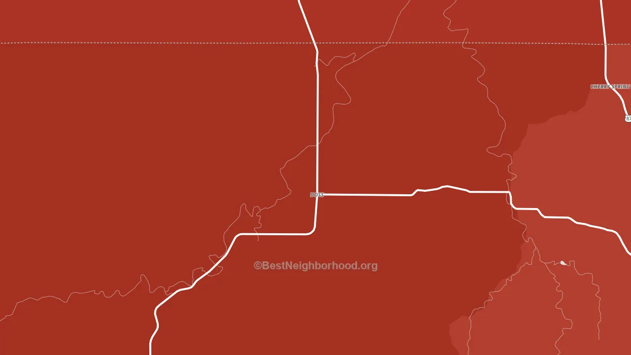 78618, TX block-group political-lean map