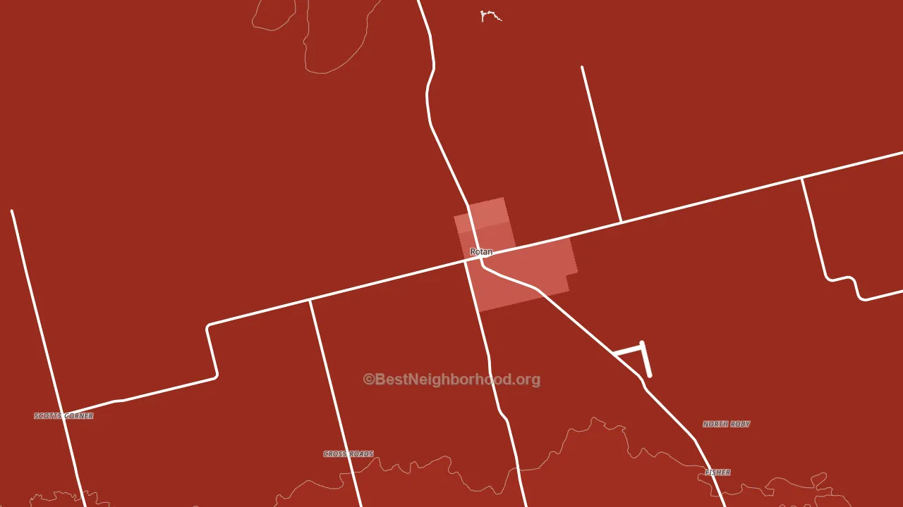 79546, TX block-group political-lean map