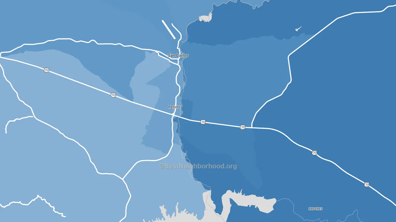 85542, AZ block-group political-lean map