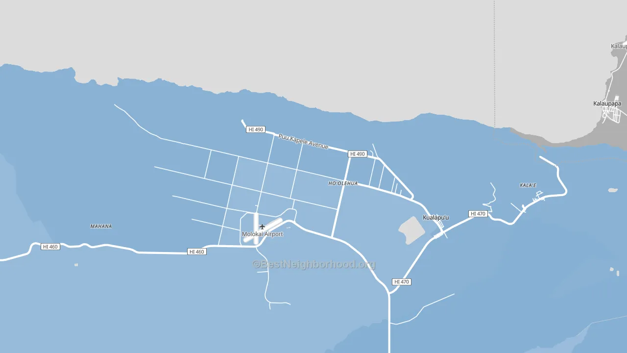 96729, HI block-group political-lean map
