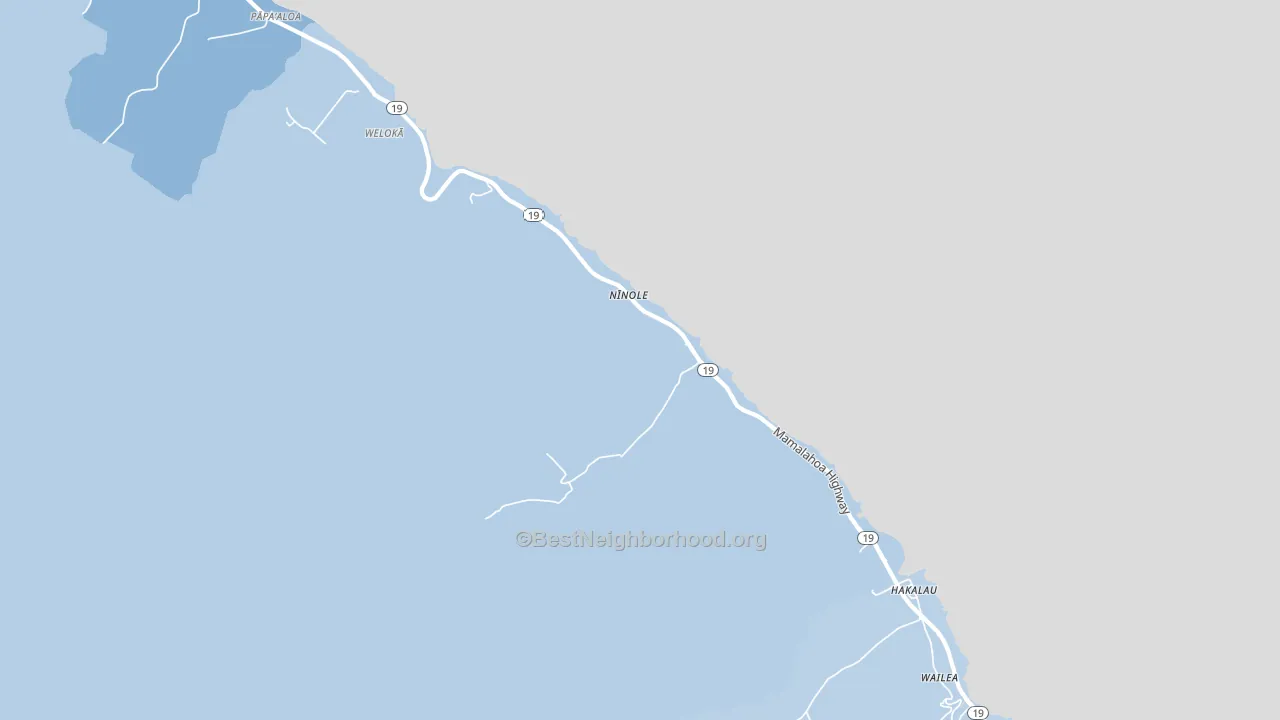 96773, HI block-group political-lean map
